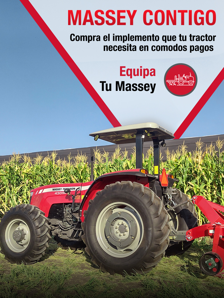 equipa tu massey